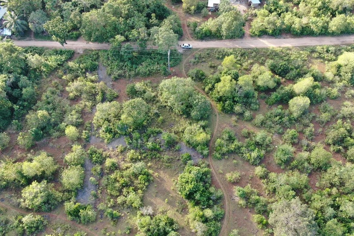 Land for Sale in Libaong, Panglao, Bohol – photo 7