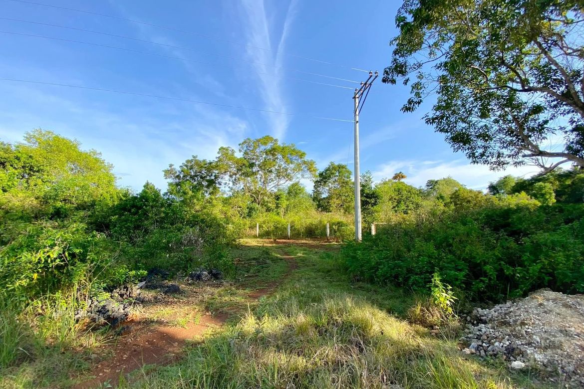Land for Sale in Libaong, Panglao, Bohol – photo 6
