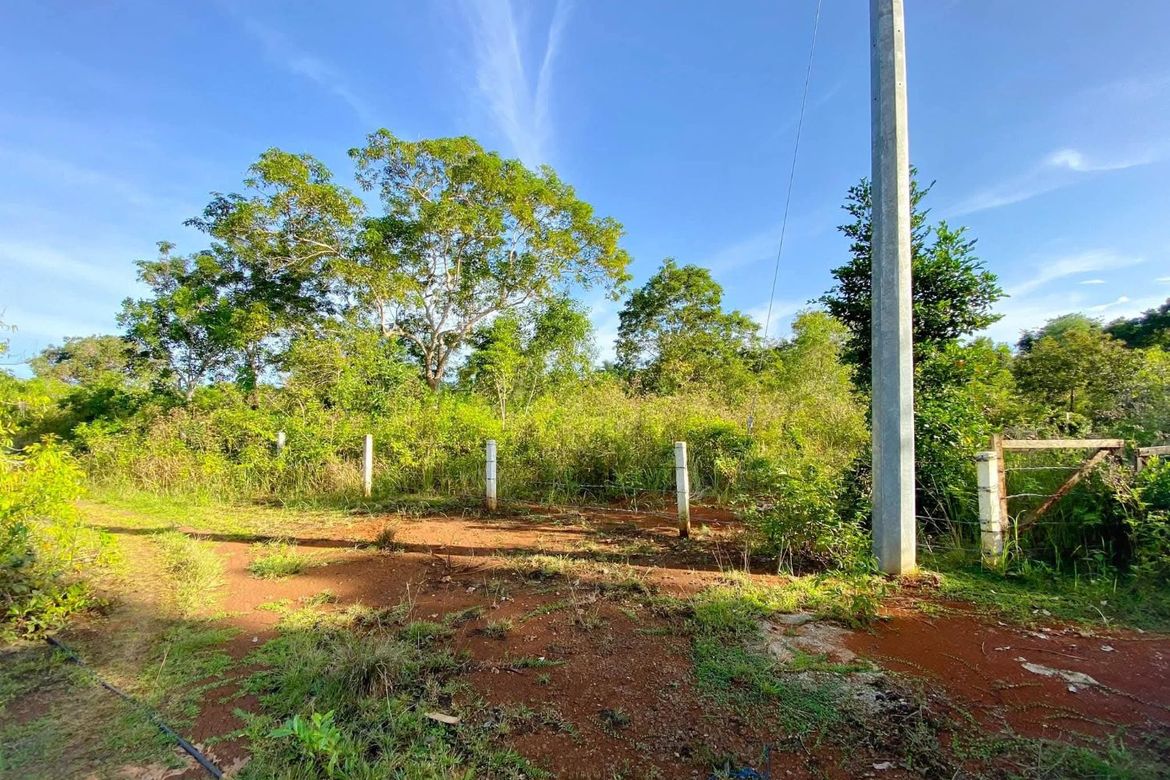 Land for Sale in Libaong, Panglao, Bohol – photo 7