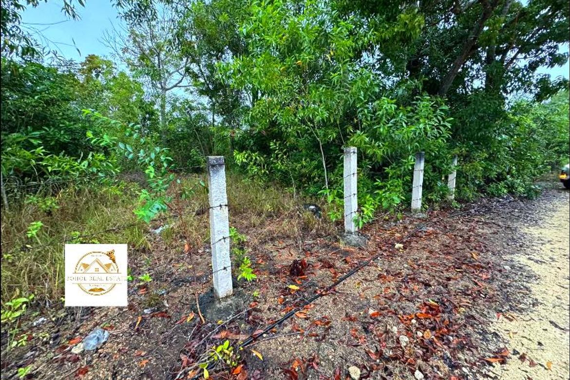 Land for Sale in Libaong, Panglao, Bohol – photo 3