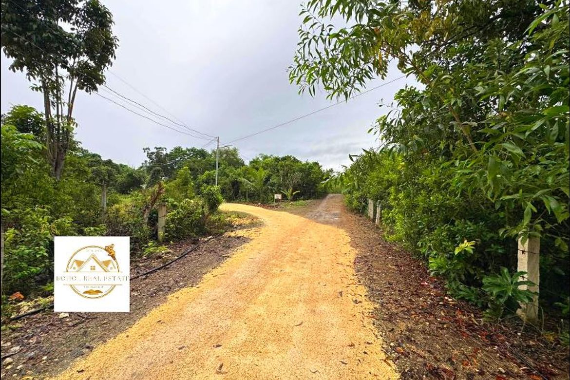 Land for Sale in Libaong, Panglao, Bohol – photo 4