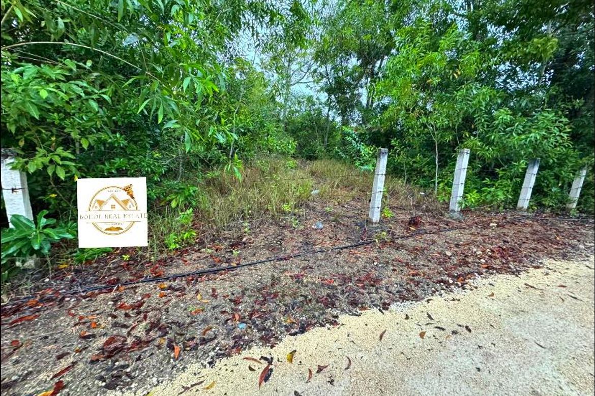 Land for Sale in Libaong, Panglao, Bohol – photo 6