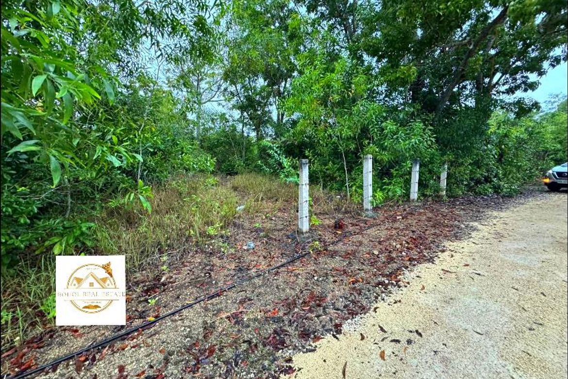 Land for Sale in Libaong, Panglao, Bohol – photo 7