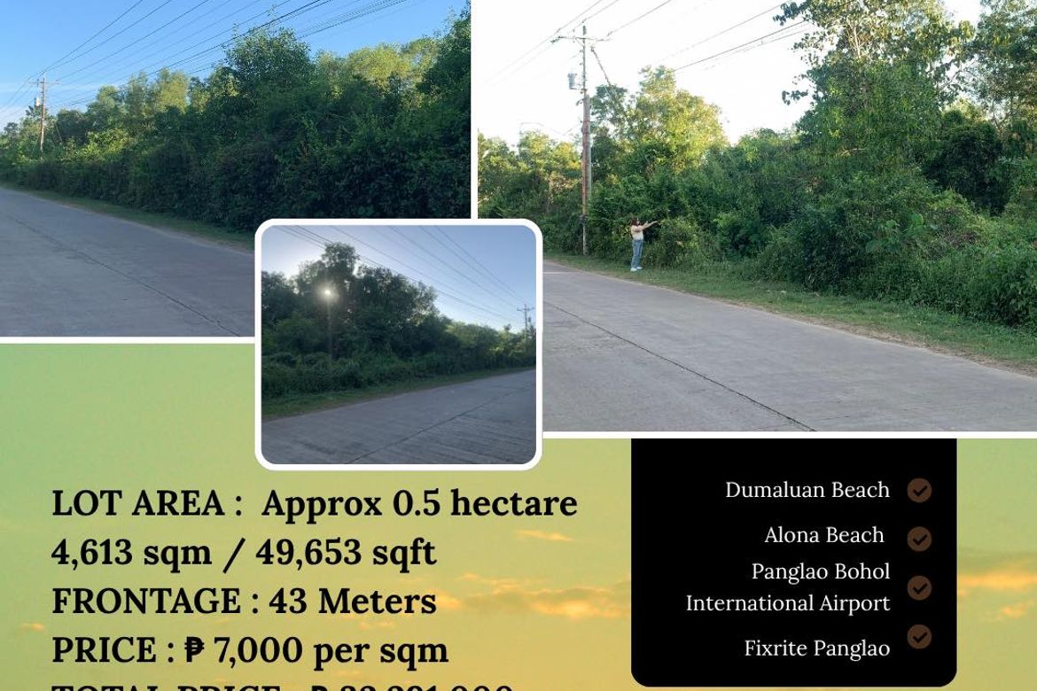 Land for Sale in Libaong, Panglao, Bohol