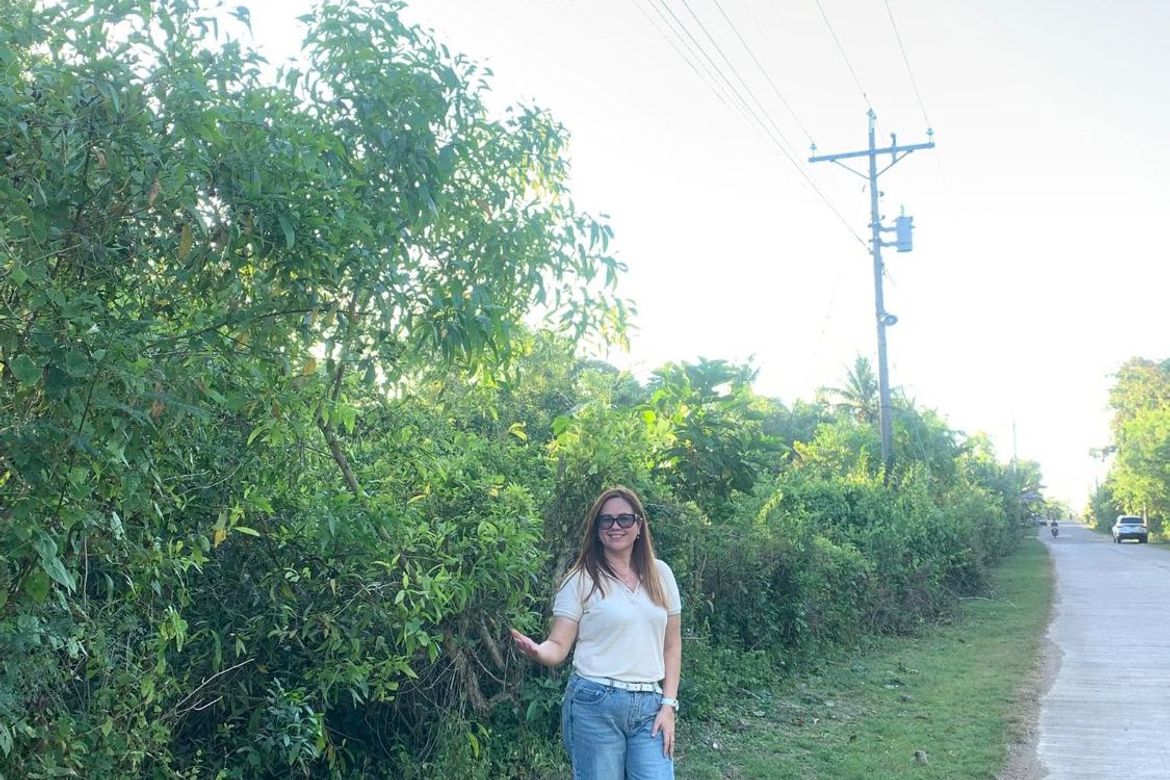 Land for Sale in Libaong, Panglao, Bohol – photo 2