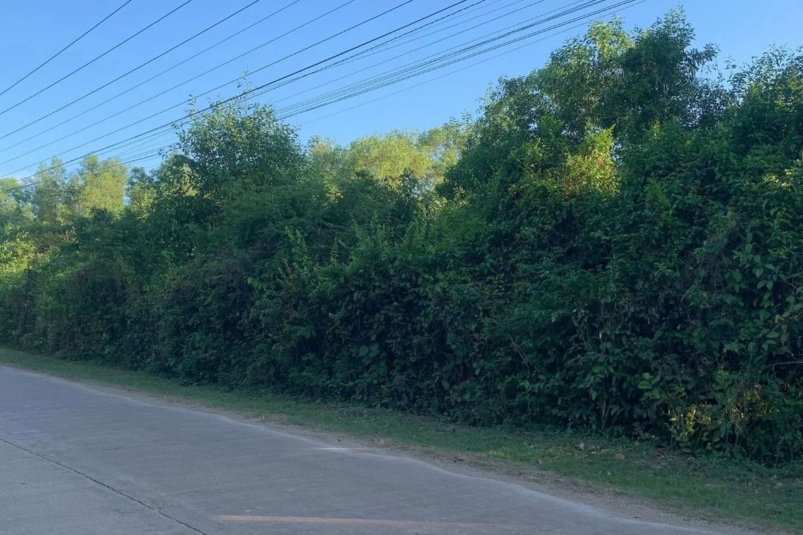 Land for Sale in Libaong, Panglao, Bohol – photo 3