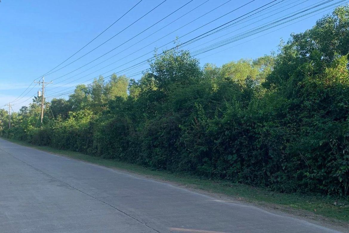 Land for Sale in Libaong, Panglao, Bohol – photo 5