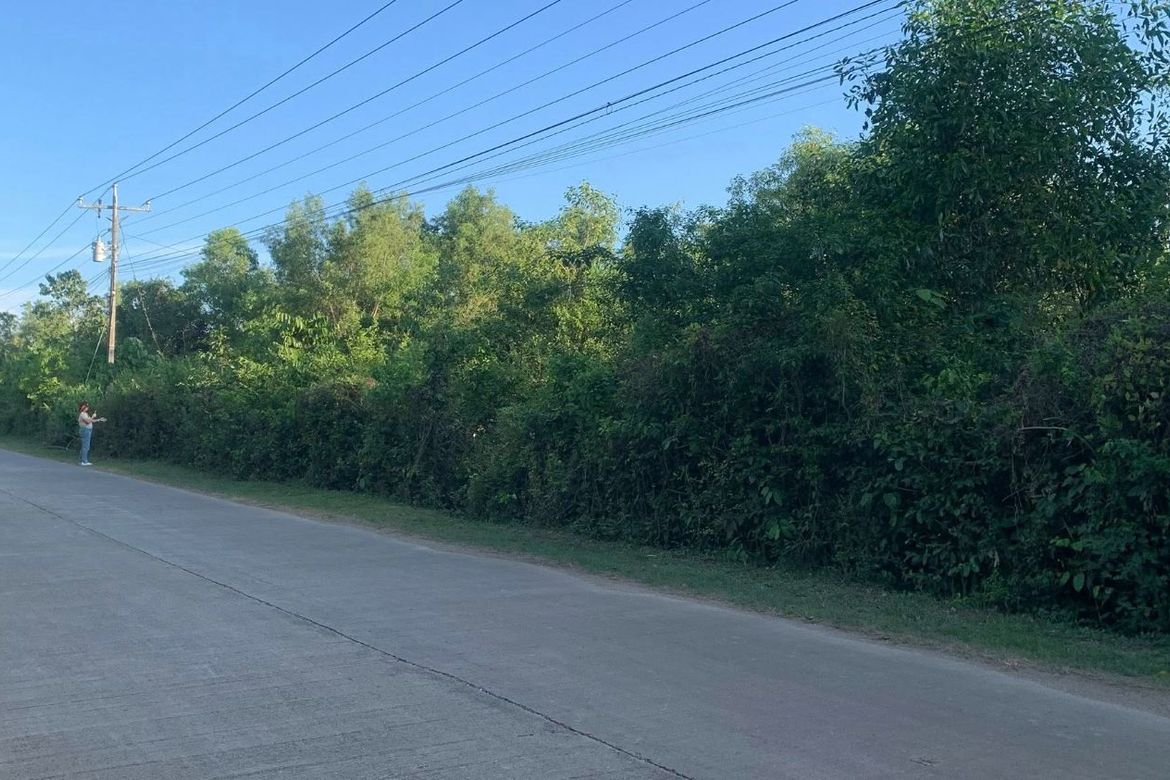 Land for Sale in Libaong, Panglao, Bohol – photo 6