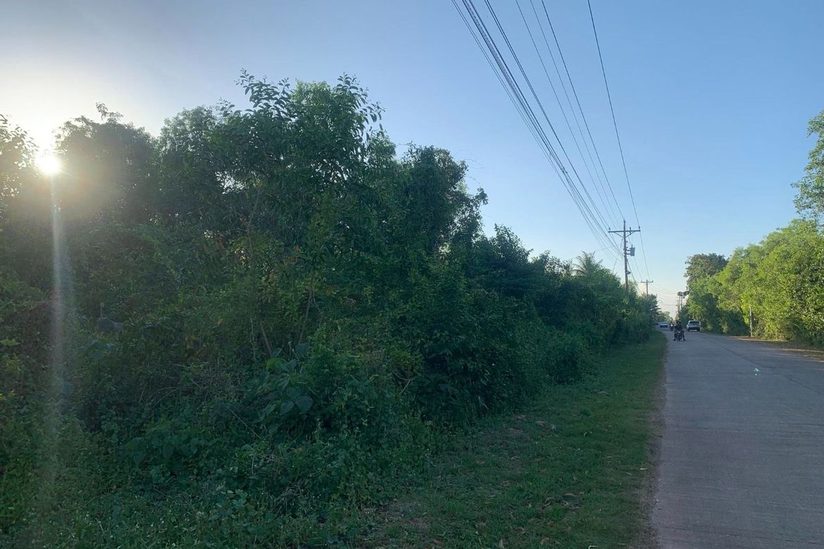 Land for Sale in Libaong, Panglao, Bohol – photo 7