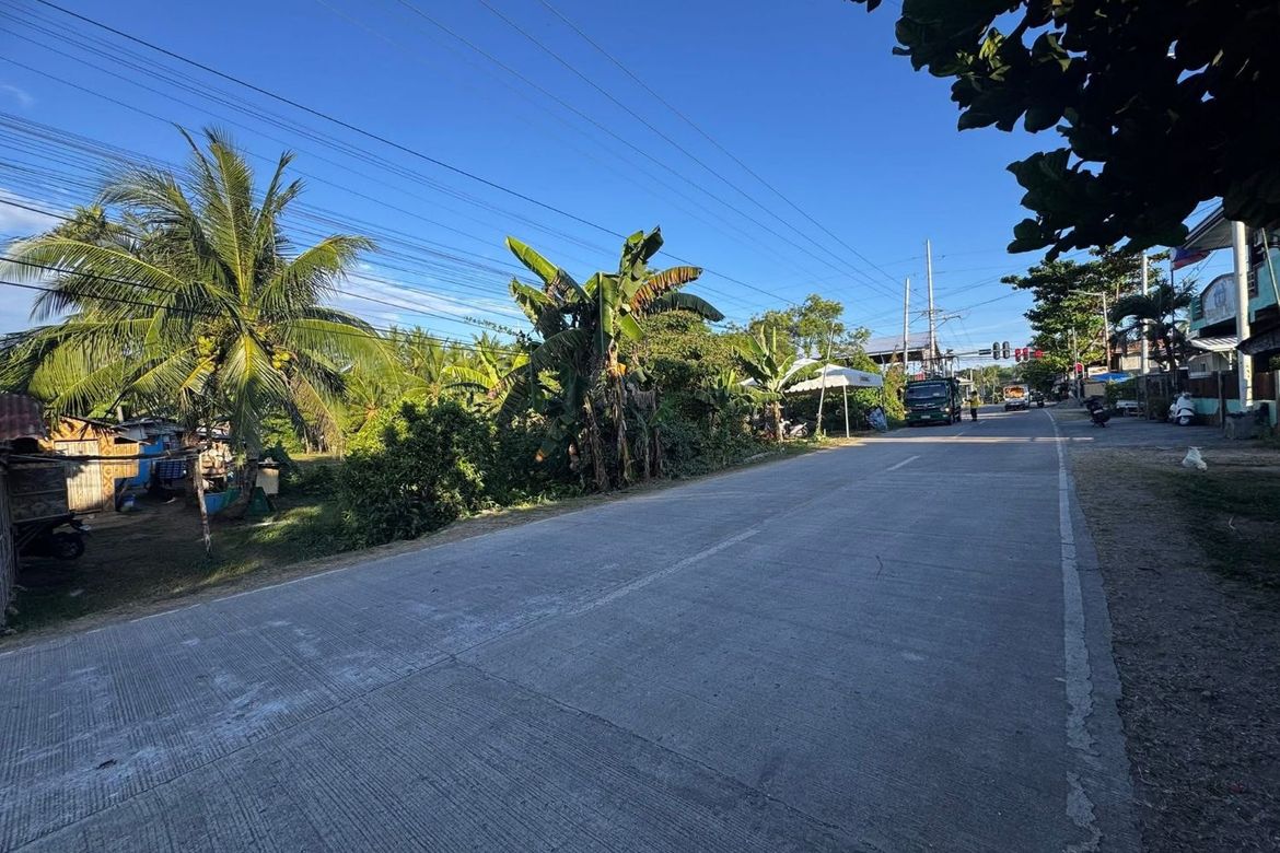 Land for Sale in Libaong, Panglao, Bohol – photo 2
