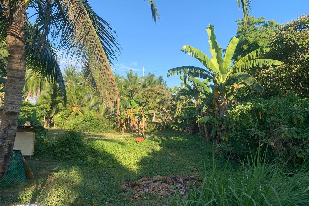 Land for Sale in Libaong, Panglao, Bohol – photo 4