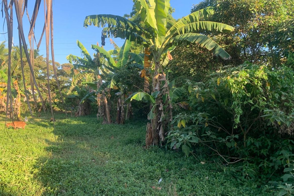 Land for Sale in Libaong, Panglao, Bohol – photo 5