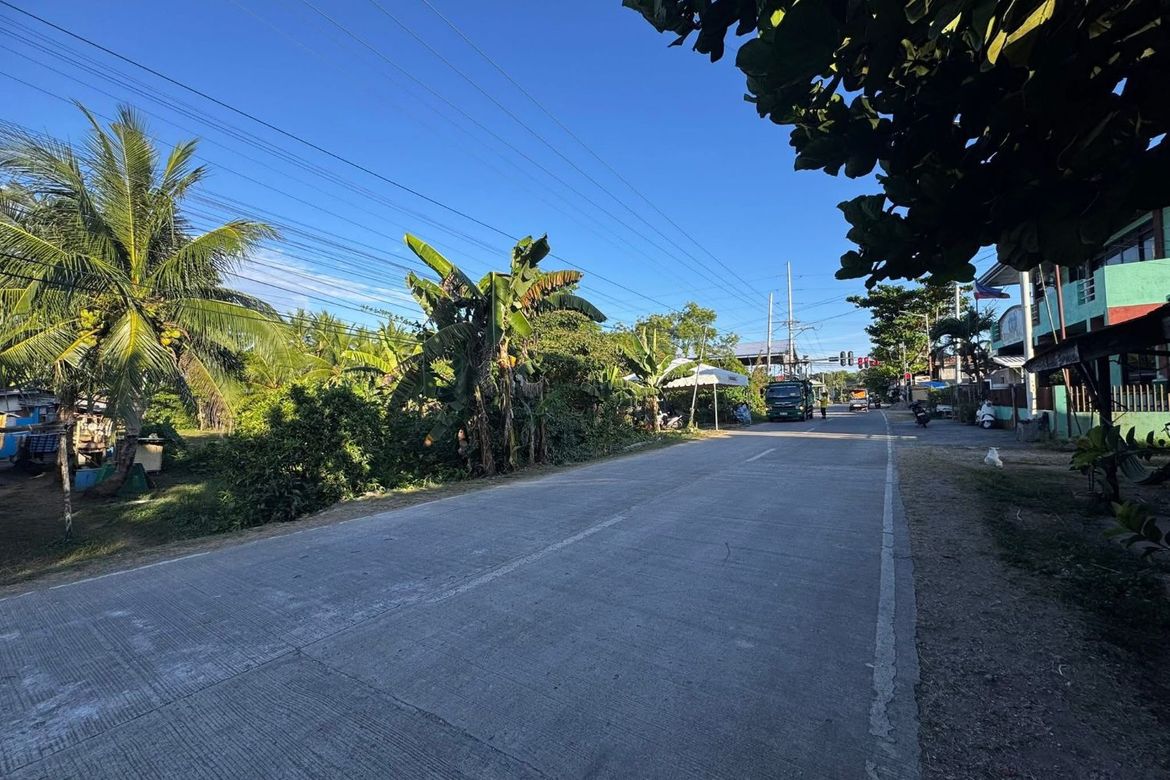 Land for Sale in Libaong, Panglao, Bohol – photo 8