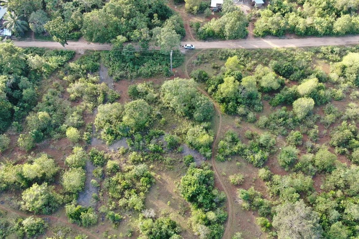 Land for Sale in Libaong, Panglao, Bohol – photo 5