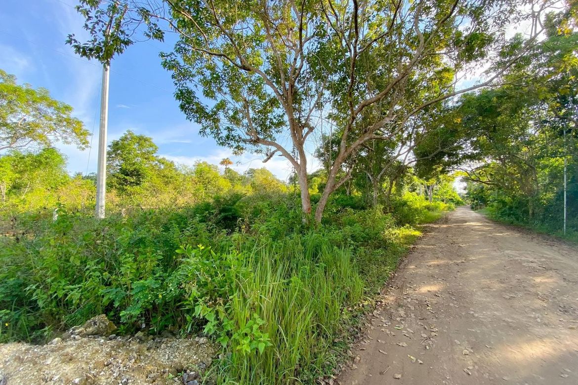 Land for Sale in Libaong, Panglao, Bohol – photo 6