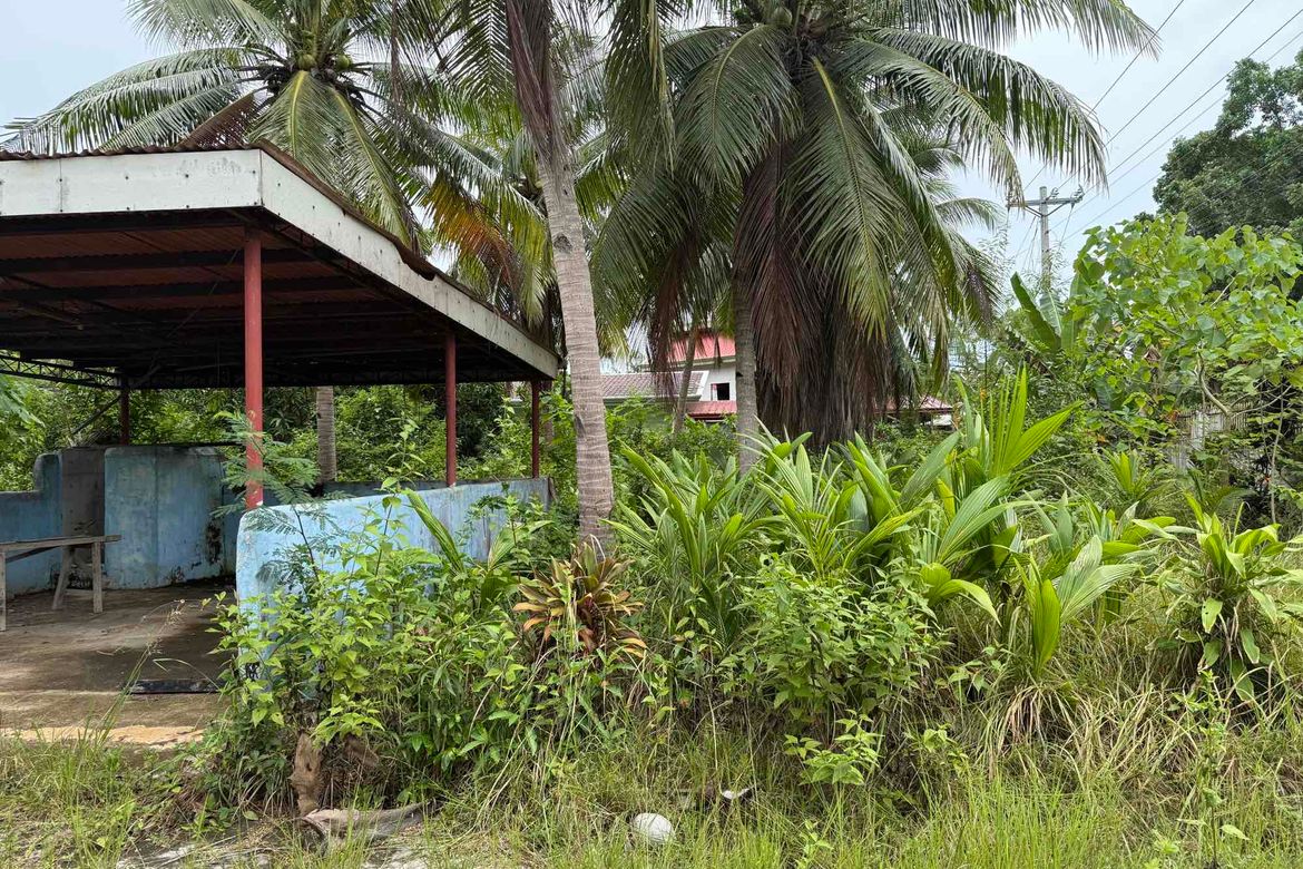 Land for Sale in Libaong, Panglao, Bohol – photo 3