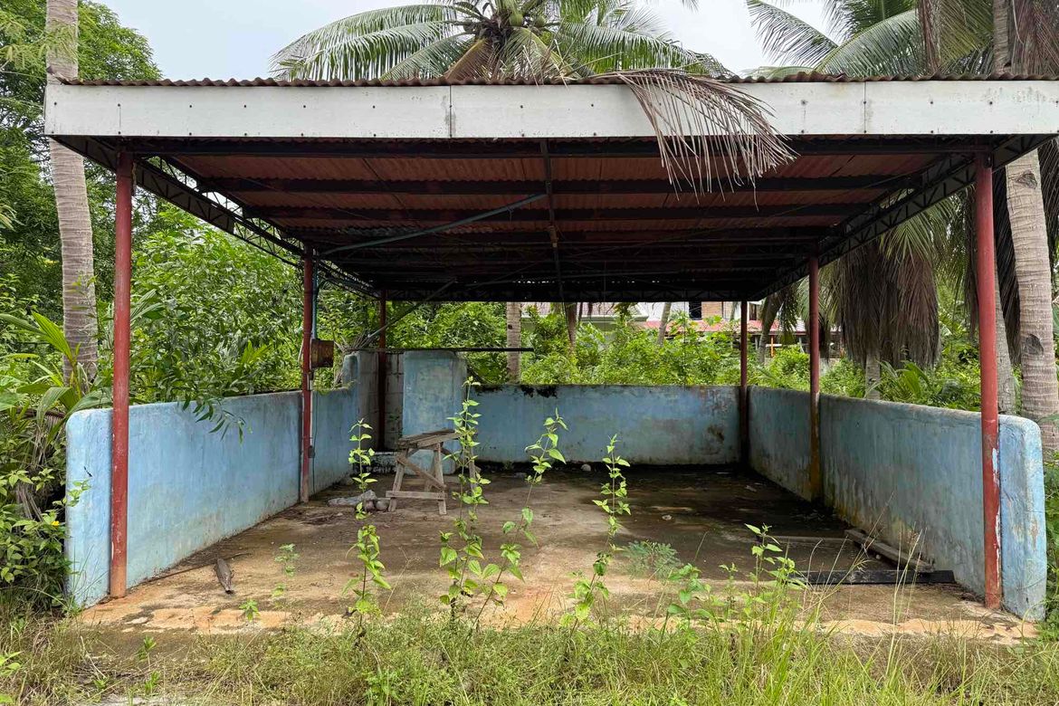 Land for Sale in Libaong, Panglao, Bohol – photo 4