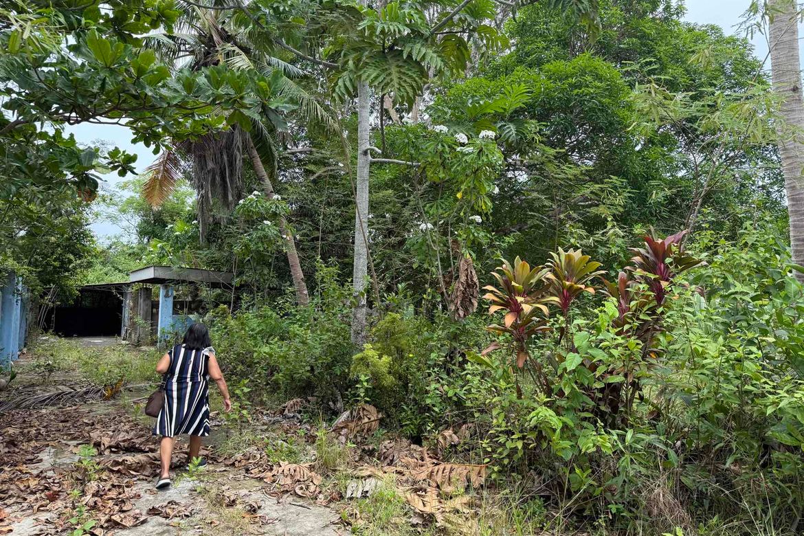 Land for Sale in Libaong, Panglao, Bohol – photo 5