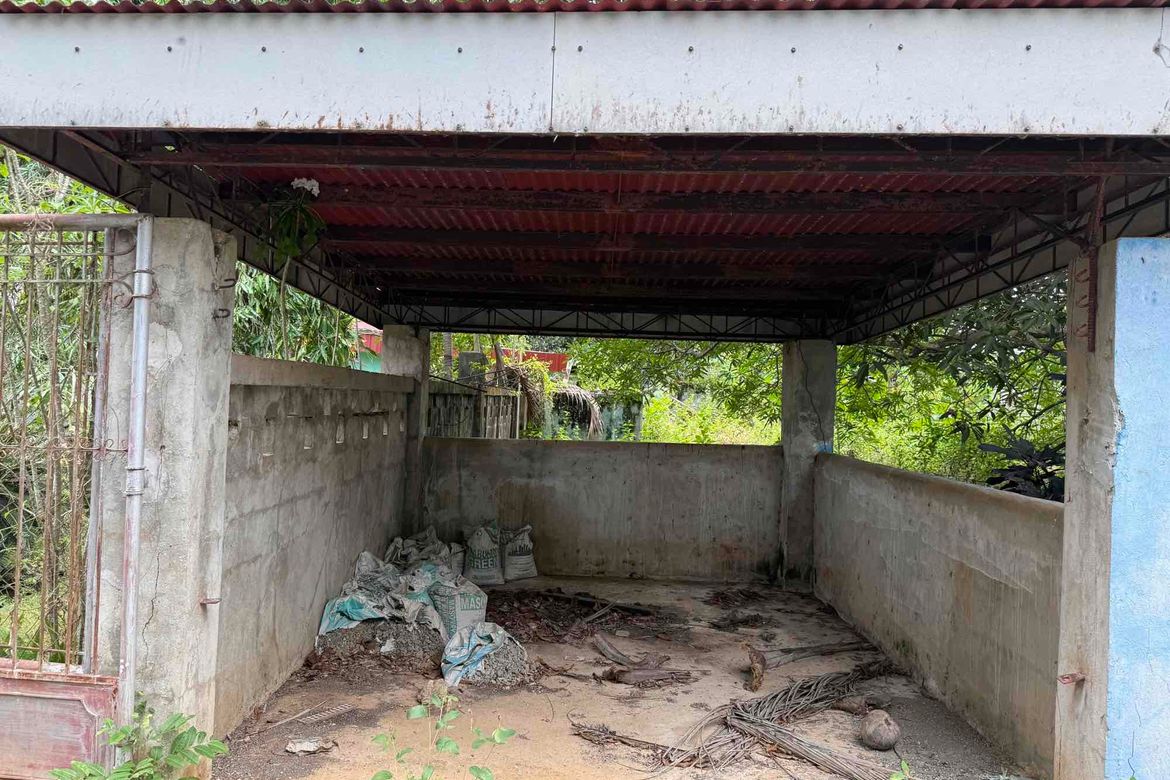 Land for Sale in Libaong, Panglao, Bohol – photo 6