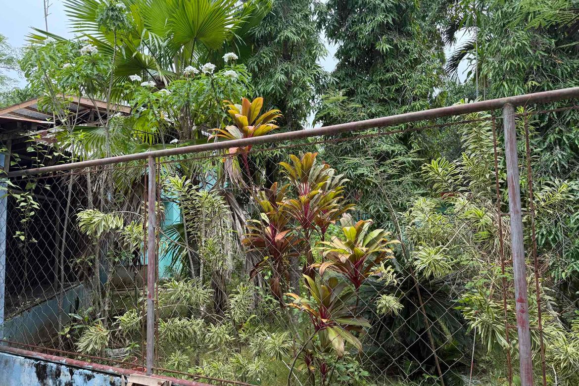 Land for Sale in Libaong, Panglao, Bohol – photo 7