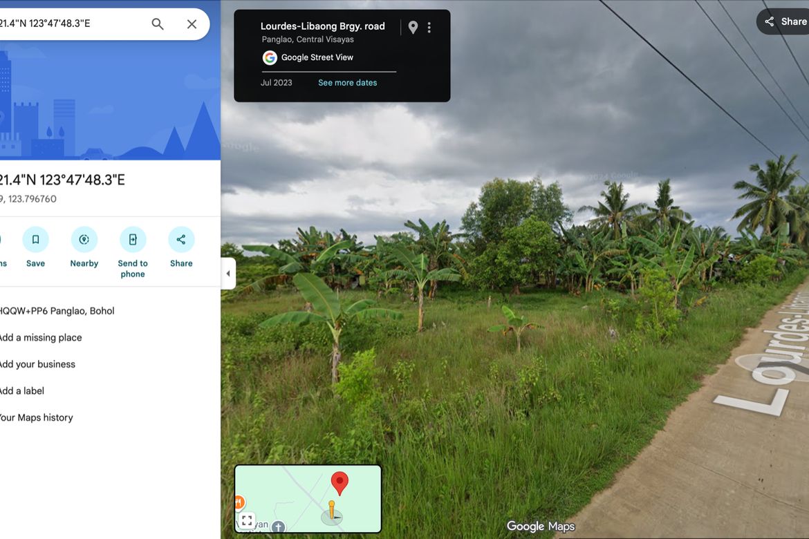 Land for Sale in Libaong, Panglao, Bohol – photo 5