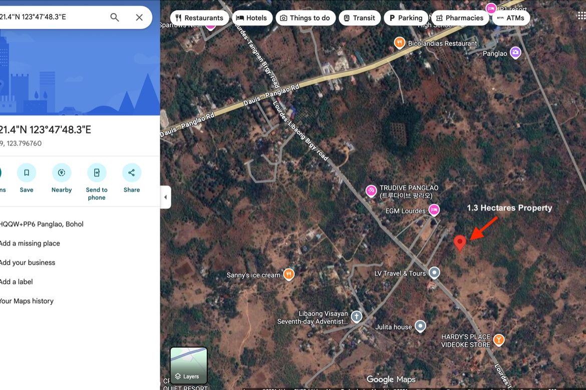 Land for Sale in Libaong, Panglao, Bohol – photo 7