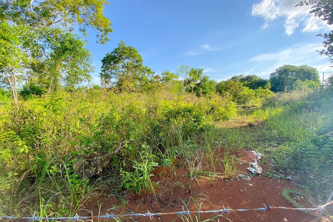 Land for Sale in Libaong, Panglao, Bohol – photo 3