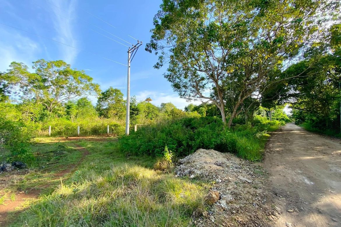 Land for Sale in Libaong, Panglao, Bohol – photo 4