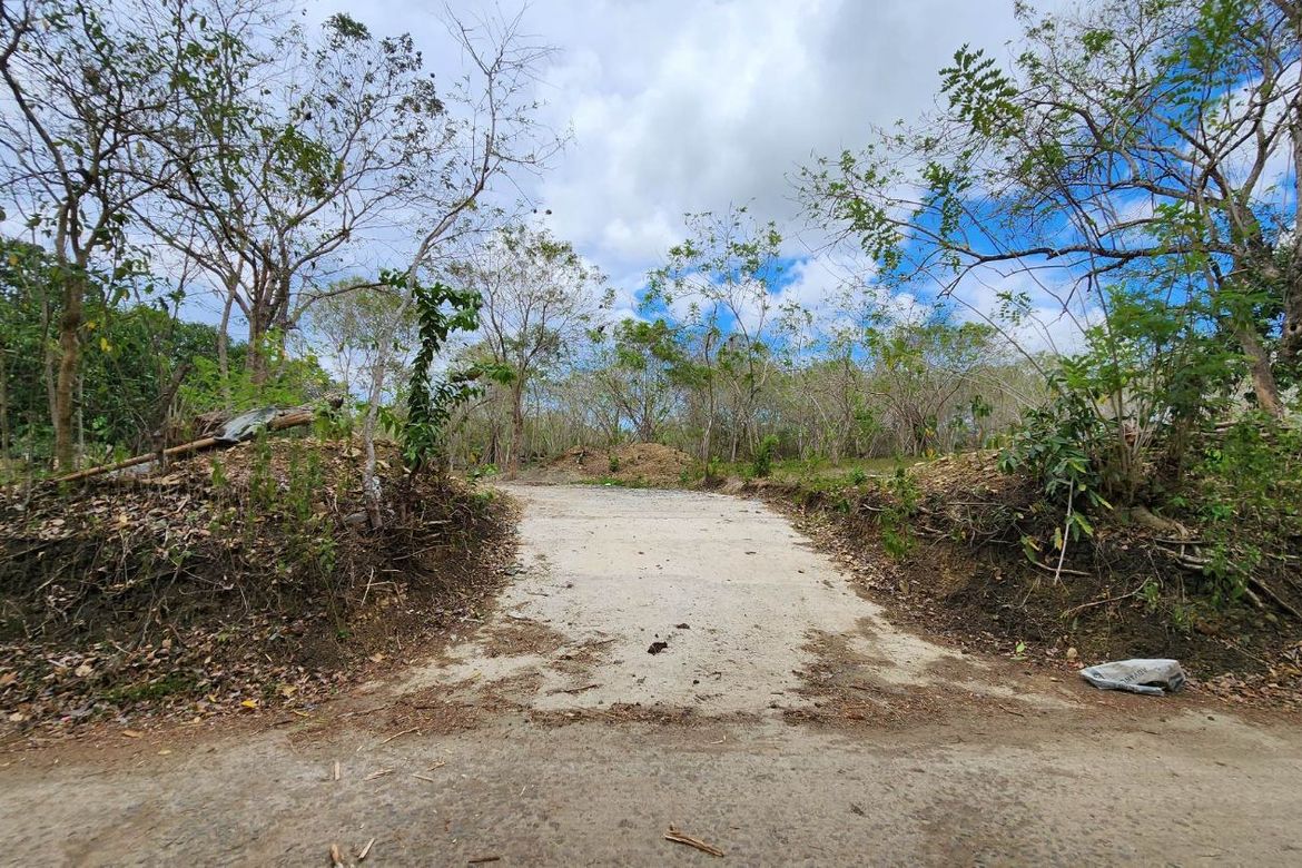 Land for Sale in Libato, San Juan, Batangas – photo 2