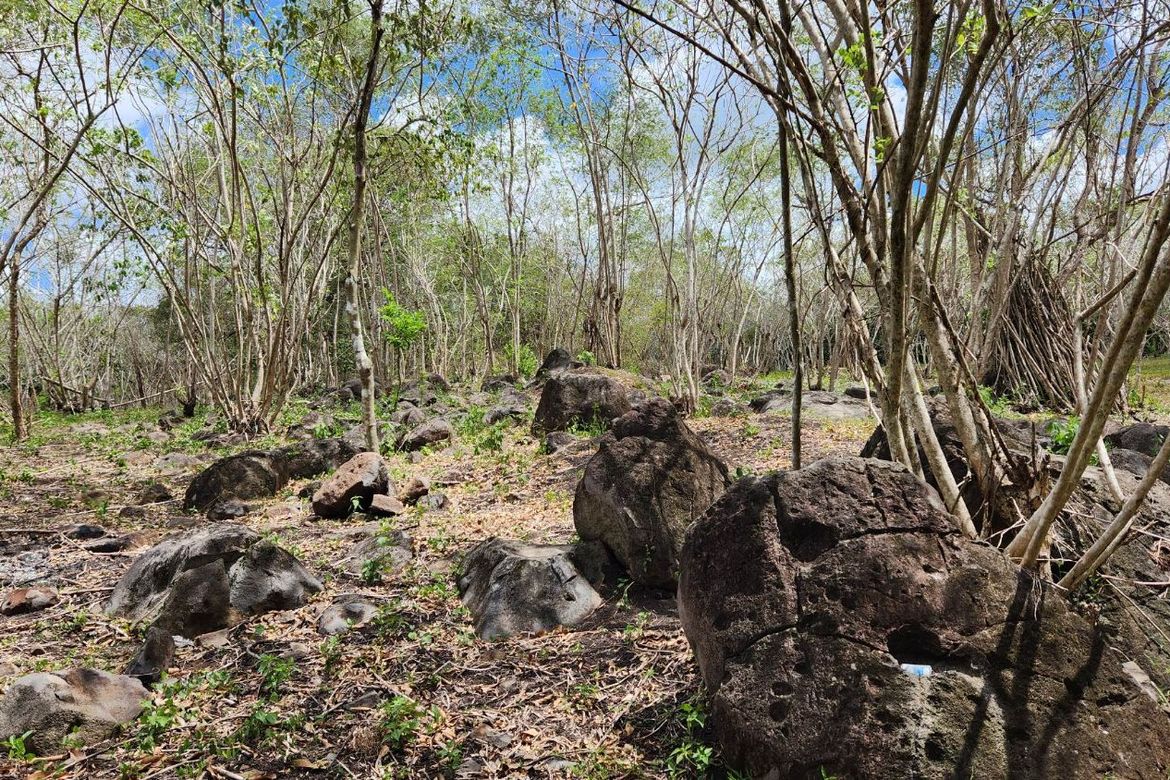 Land for Sale in Libato, San Juan, Batangas – photo 3