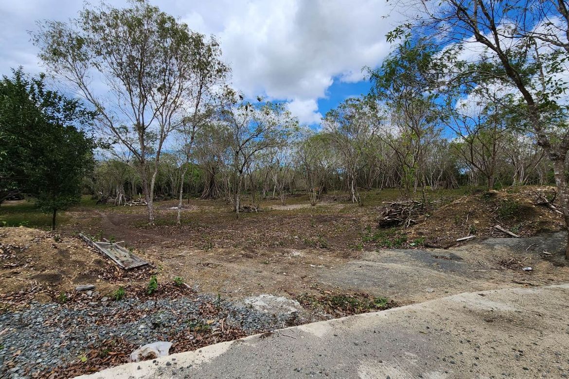 Land for Sale in Libato, San Juan, Batangas – photo 5