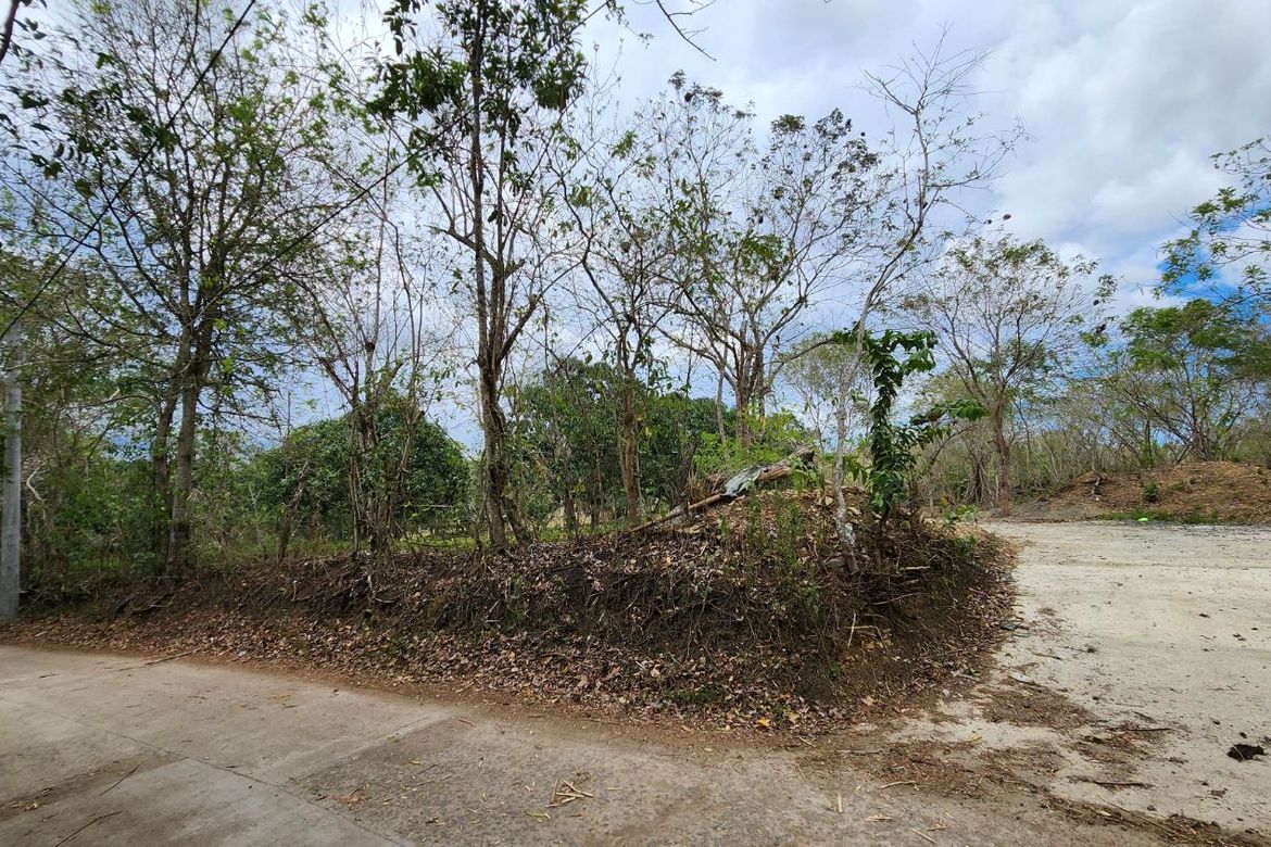 Land for Sale in Libato, San Juan, Batangas – photo 6