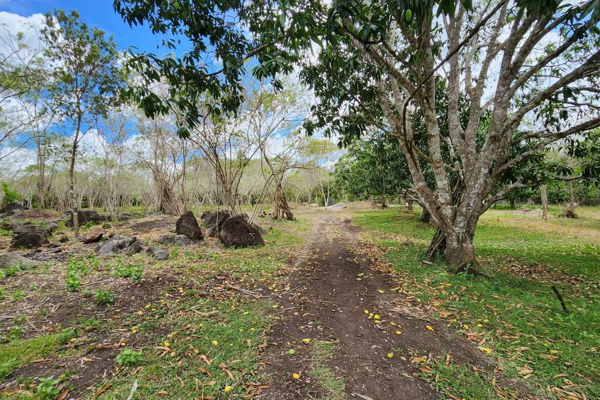 Land for Sale in Libato, San Juan, Batangas – photo 7