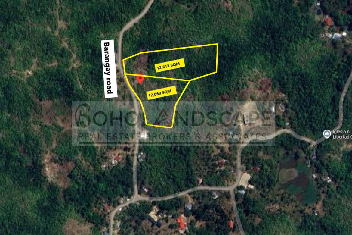 Land for Sale in Libertad, Baclayon, Bohol – photo 2