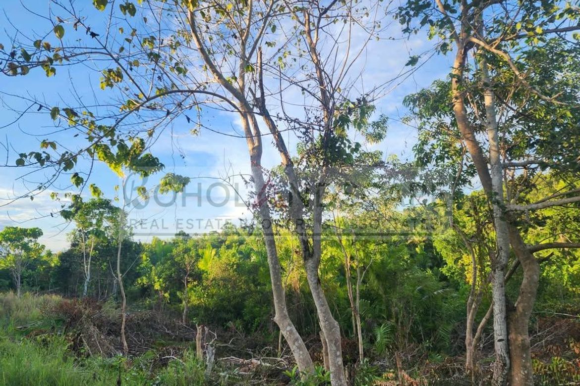 Land for Sale in Libertad, Baclayon, Bohol – photo 5