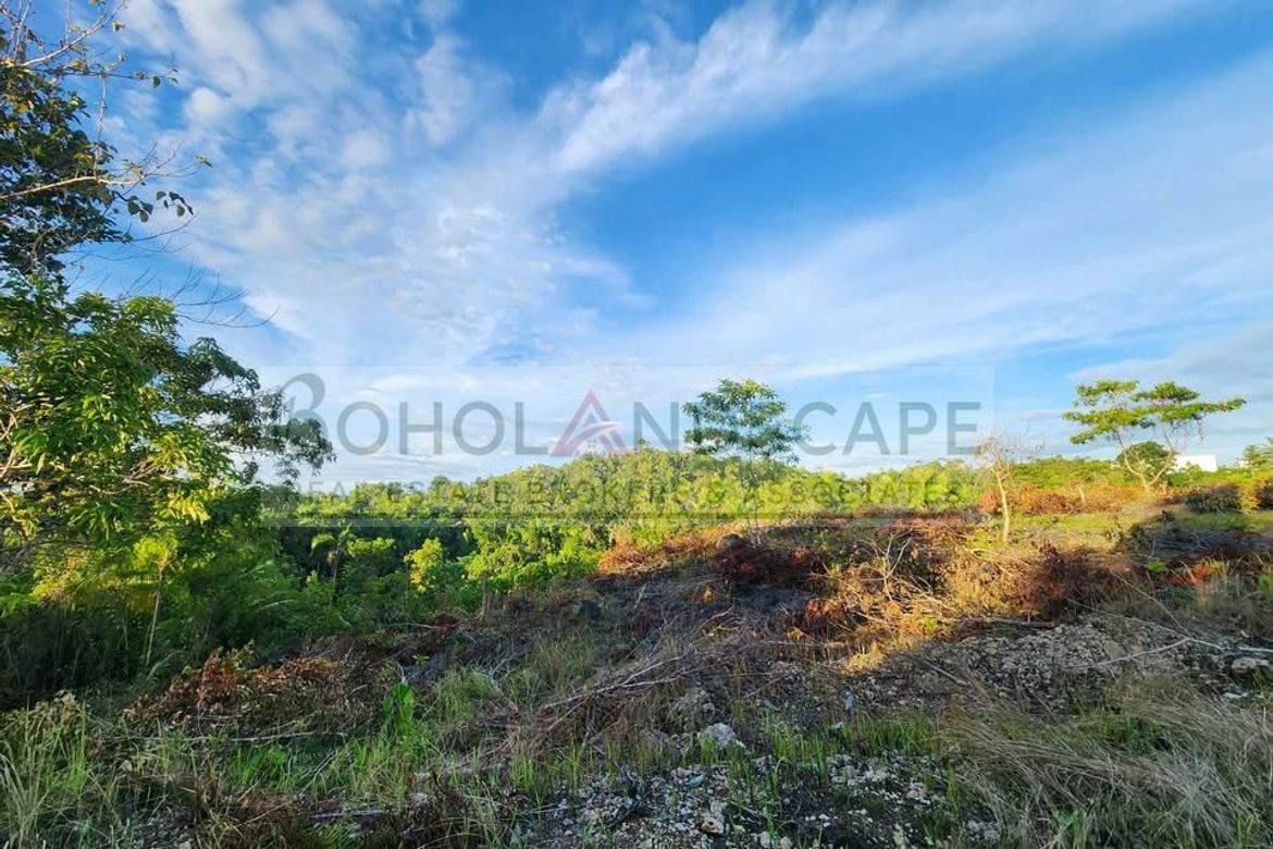 Land for Sale in Libertad, Baclayon, Bohol – photo 6