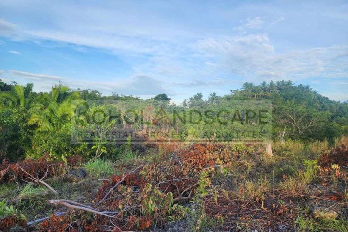 Land for Sale in Libertad, Baclayon, Bohol – photo 8