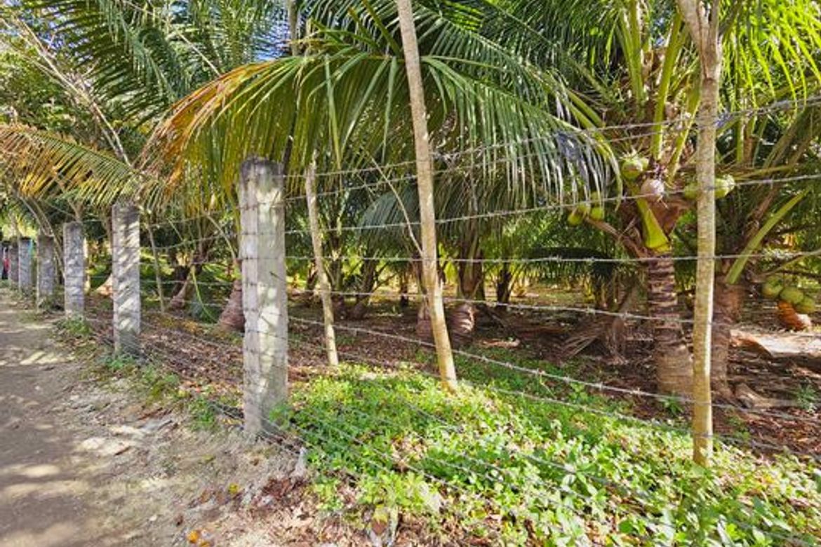 Land for Sale in Libertad, Bogo, Cebu – photo 2