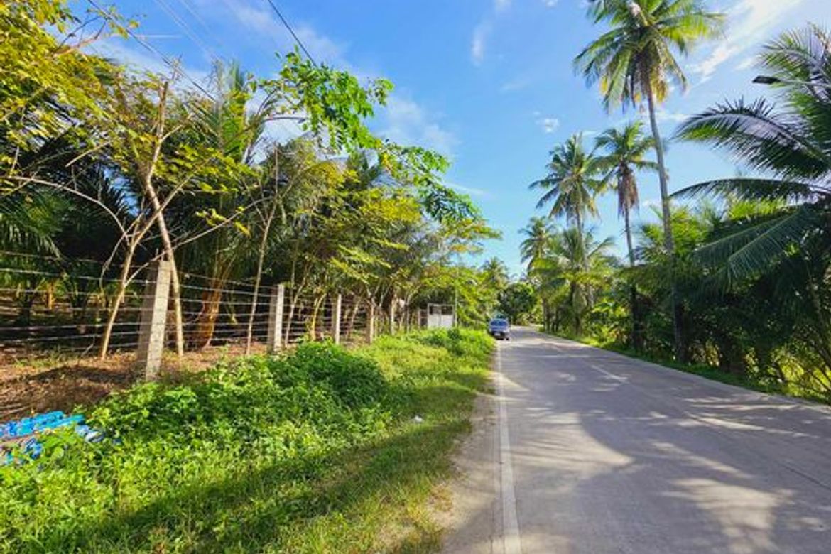 Land for Sale in Libertad, Bogo, Cebu – photo 3