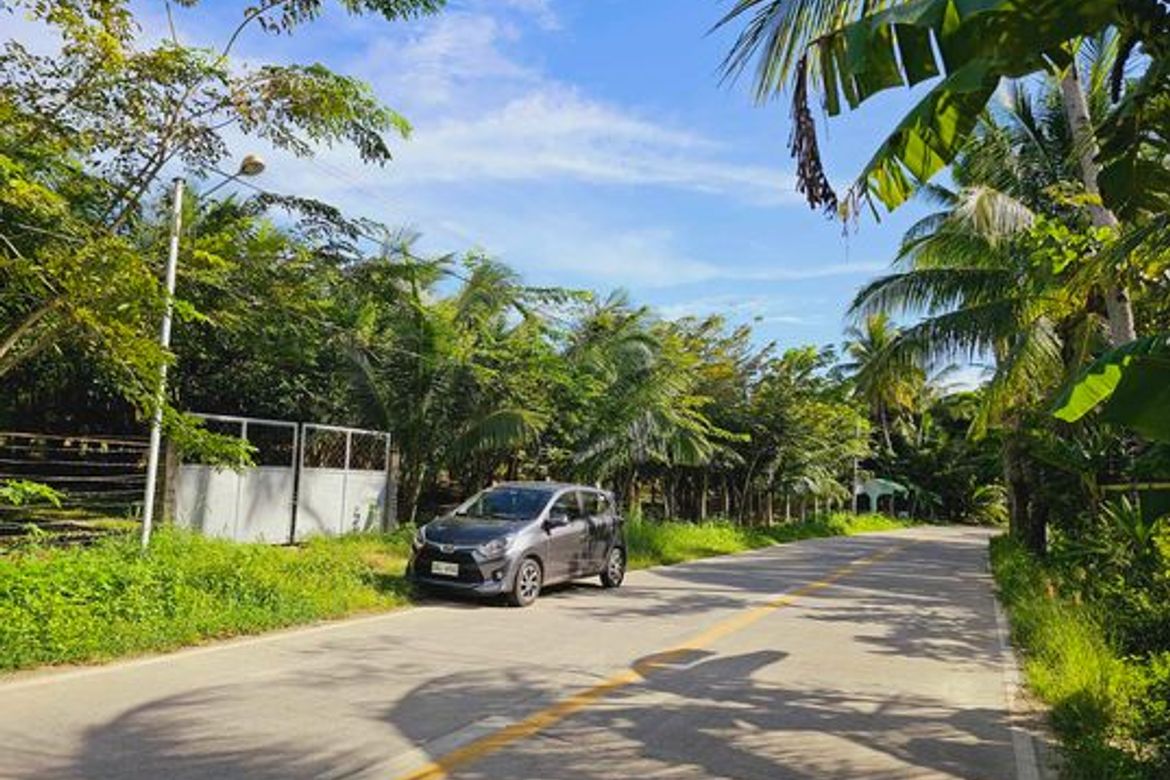 Land for Sale in Libertad, Bogo, Cebu – photo 8