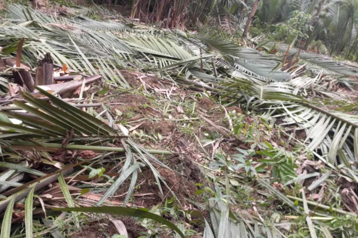 Land for Sale in Libertad, Butuan, Agusan del Norte