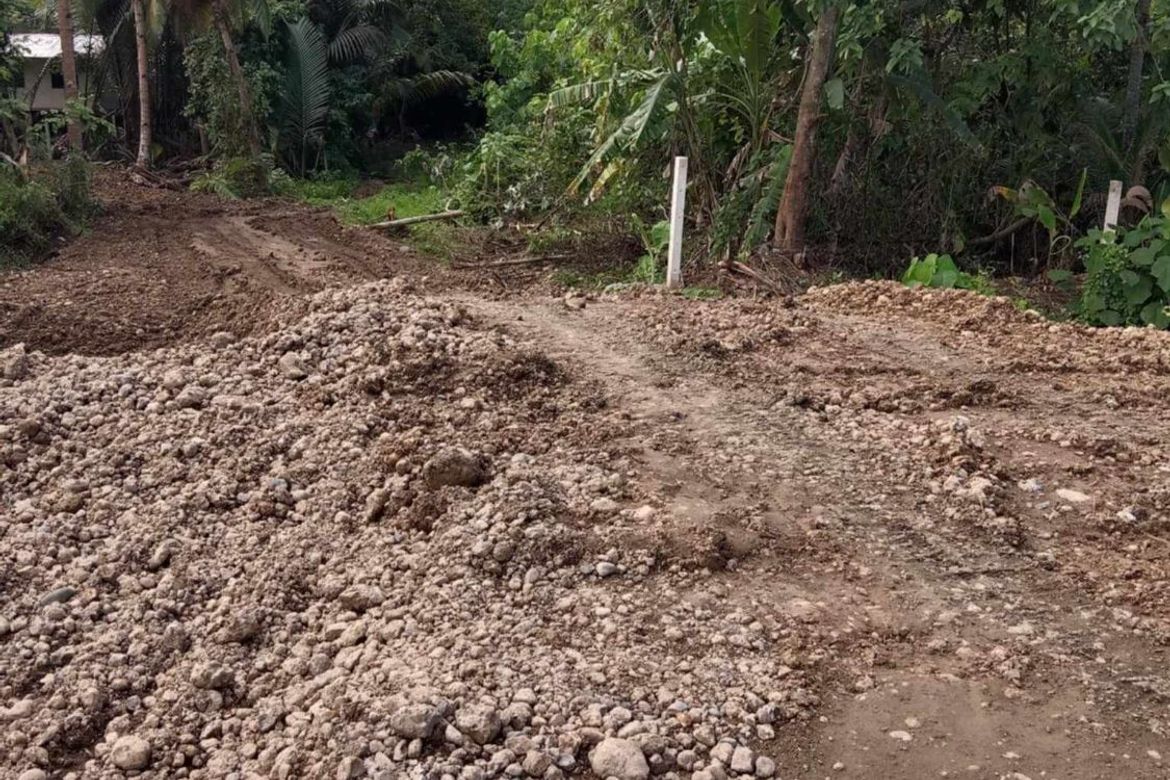 Land for Sale in Libertad, Butuan, Agusan del Norte – photo 3