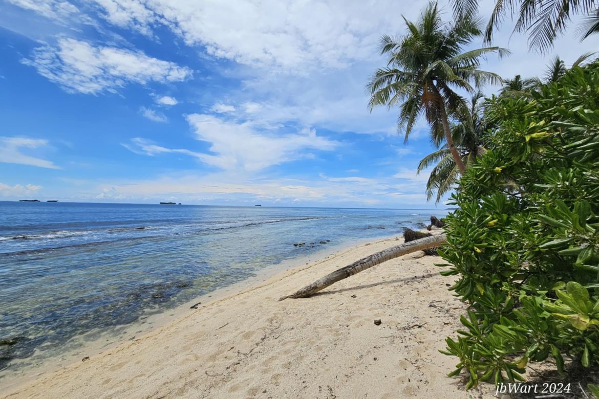 Land for Sale in Libertad, General Luna, Surigao del Norte – photo 2