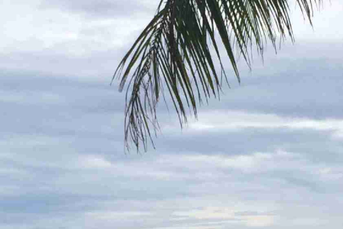Land for Sale in Libertad, General Luna, Surigao del Norte – photo 4