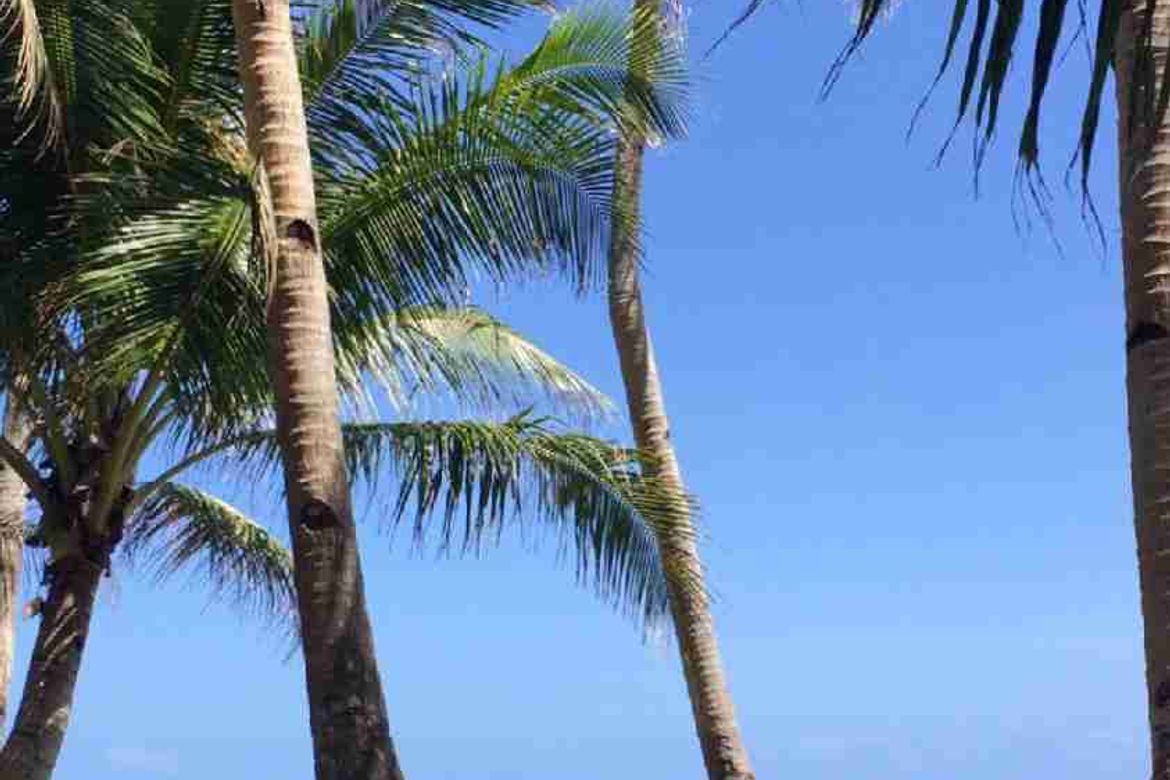 Land for Sale in Libertad, General Luna, Surigao del Norte – photo 5