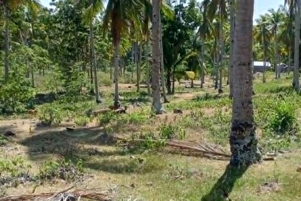 Land for Sale in Libertad, Samal, Davao del Norte – photo 2
