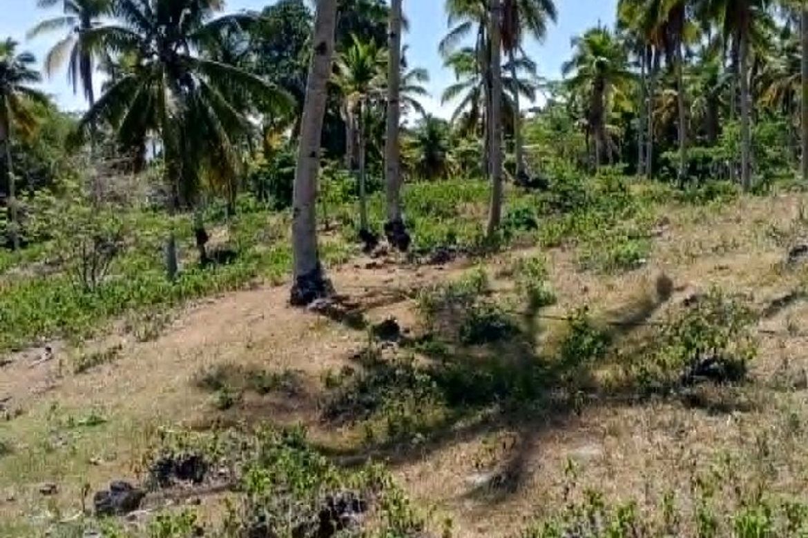 Land for Sale in Libertad, Samal, Davao del Norte – photo 3