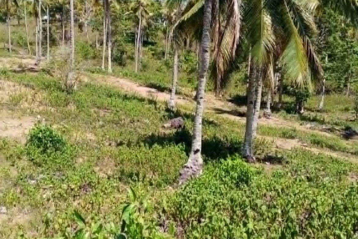 Land for Sale in Libertad, Samal, Davao del Norte – photo 5