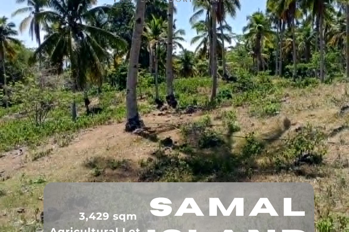 Land for Sale in Libertad, Samal, Davao del Norte
