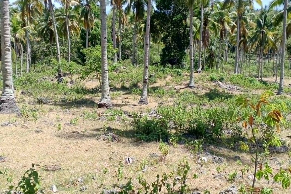 Land for Sale in Libertad, Samal, Davao del Norte – photo 4